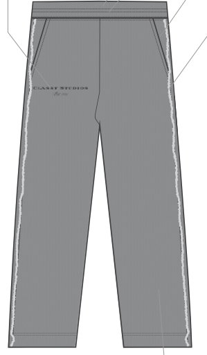 CLASSY STUDIOS pants grey